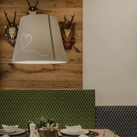 Appartement Lieblingsplatzl Inklusive Kostenfreiem Eintritt In Alpentherme Ganzjaehrig - Im Sommer Freie Bergbahnfahrten Bad Hofgastein