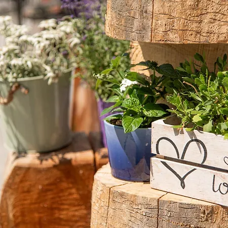 דירה Lieblingsplatzl Inklusive Kostenfreiem Eintritt In Alpentherme Ganzjaehrig - Im Sommer Freie Bergbahnfahrten באד הופגסטין