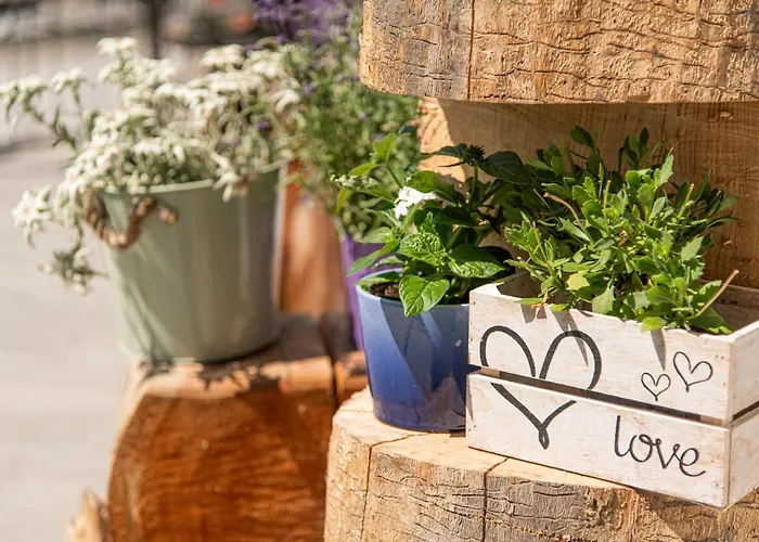 Apartman Lieblingsplatzl Inklusive Kostenfreiem Eintritt In Alpentherme Ganzjaehrig - Im Sommer Freie Bergbahnfahrten Bad Hofgastein